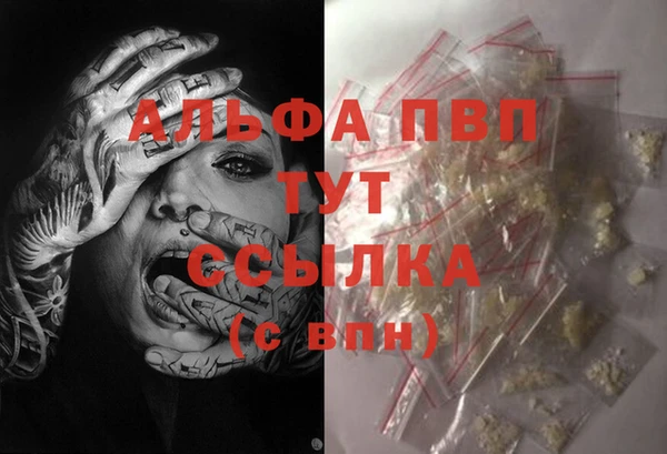 ПСИЛОЦИБИНОВЫЕ ГРИБЫ Елабуга