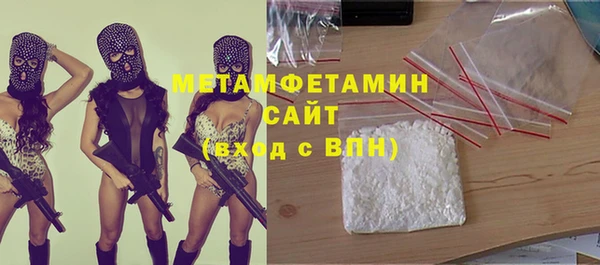 трава Ельня